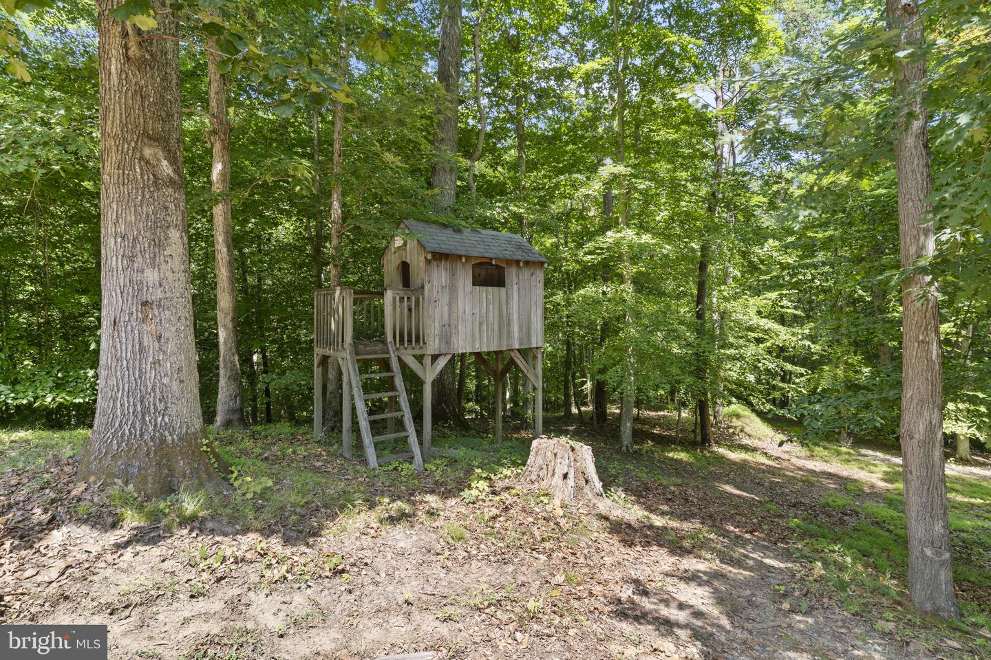3555 Christiana Ct Property Photo 48
