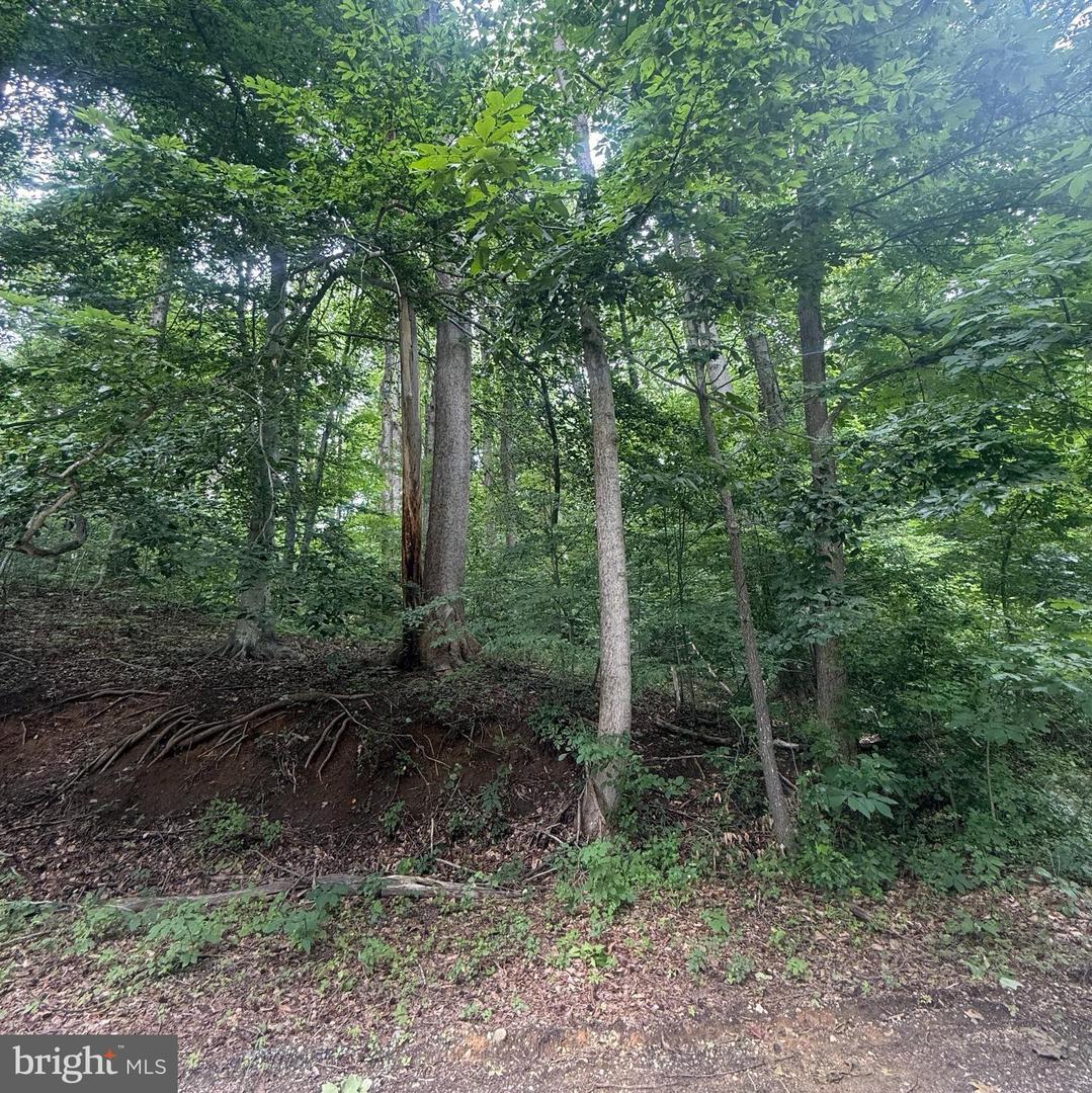 4400 Woodview Ln Property Photo 1