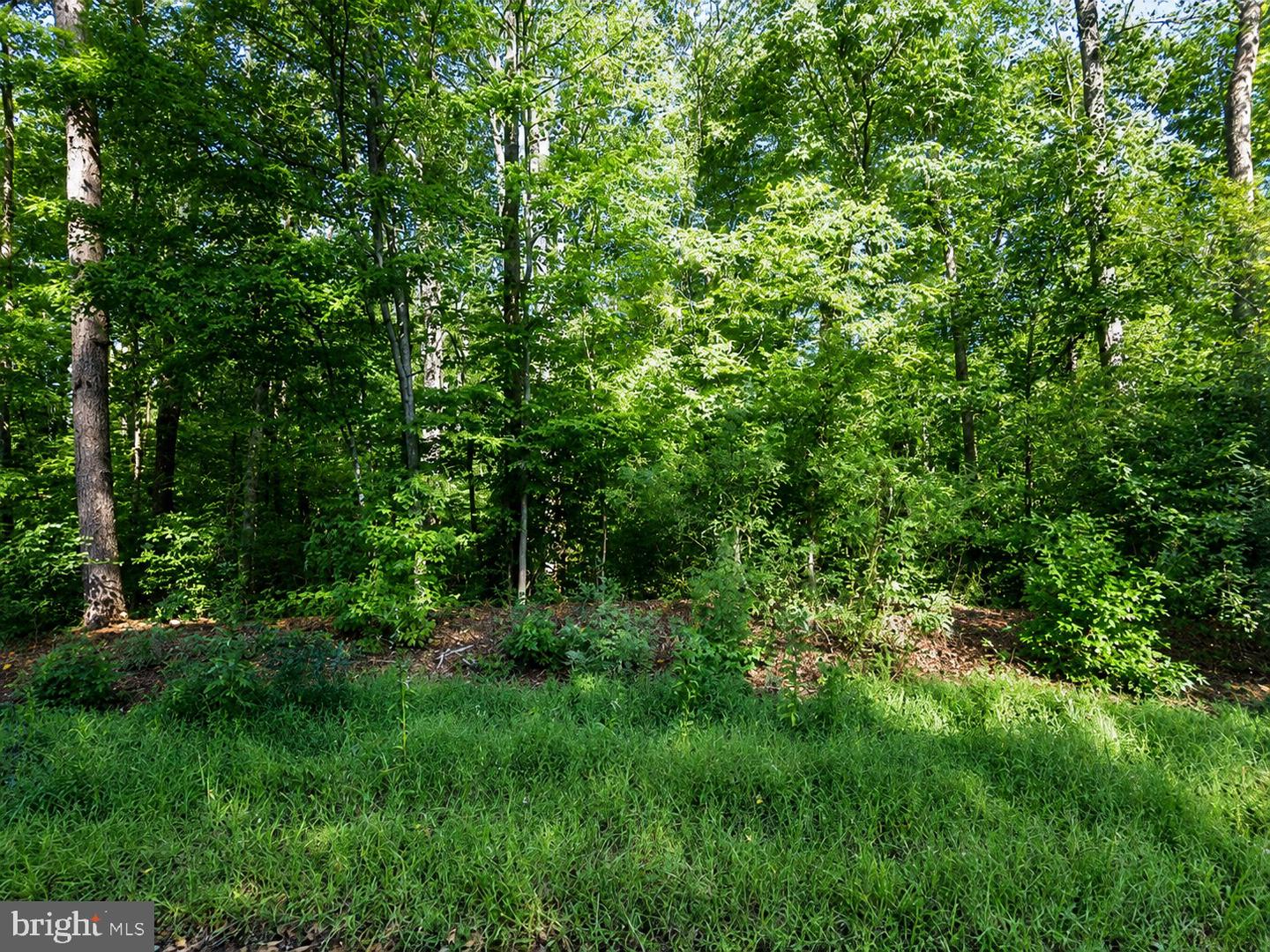 935 Outer Pl Property Photo 2
