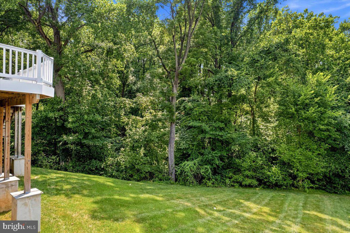 3640 Estelle Ct Property Photo 59