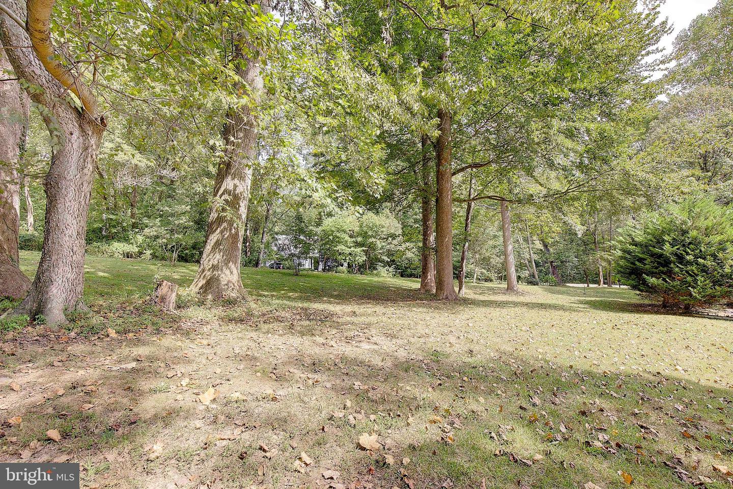 7421 Stone Ct Property Photo 55
