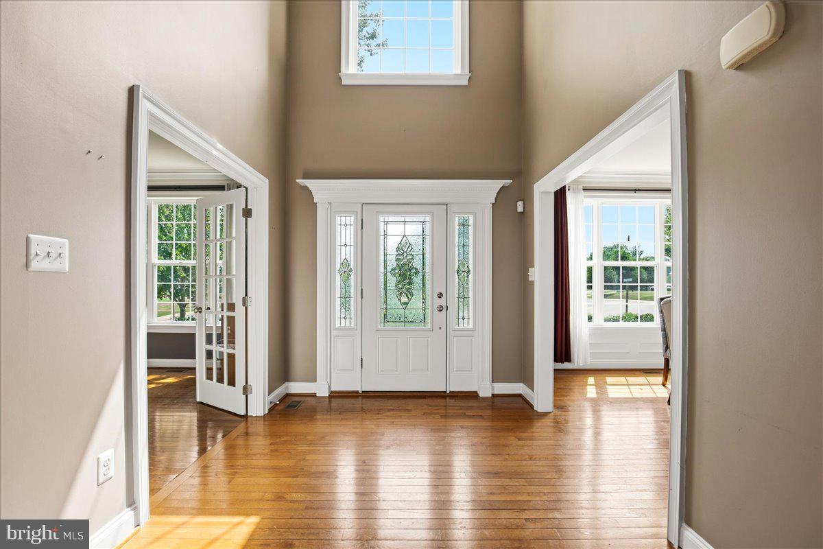 1003 Horse Pen Run Property Photo 10