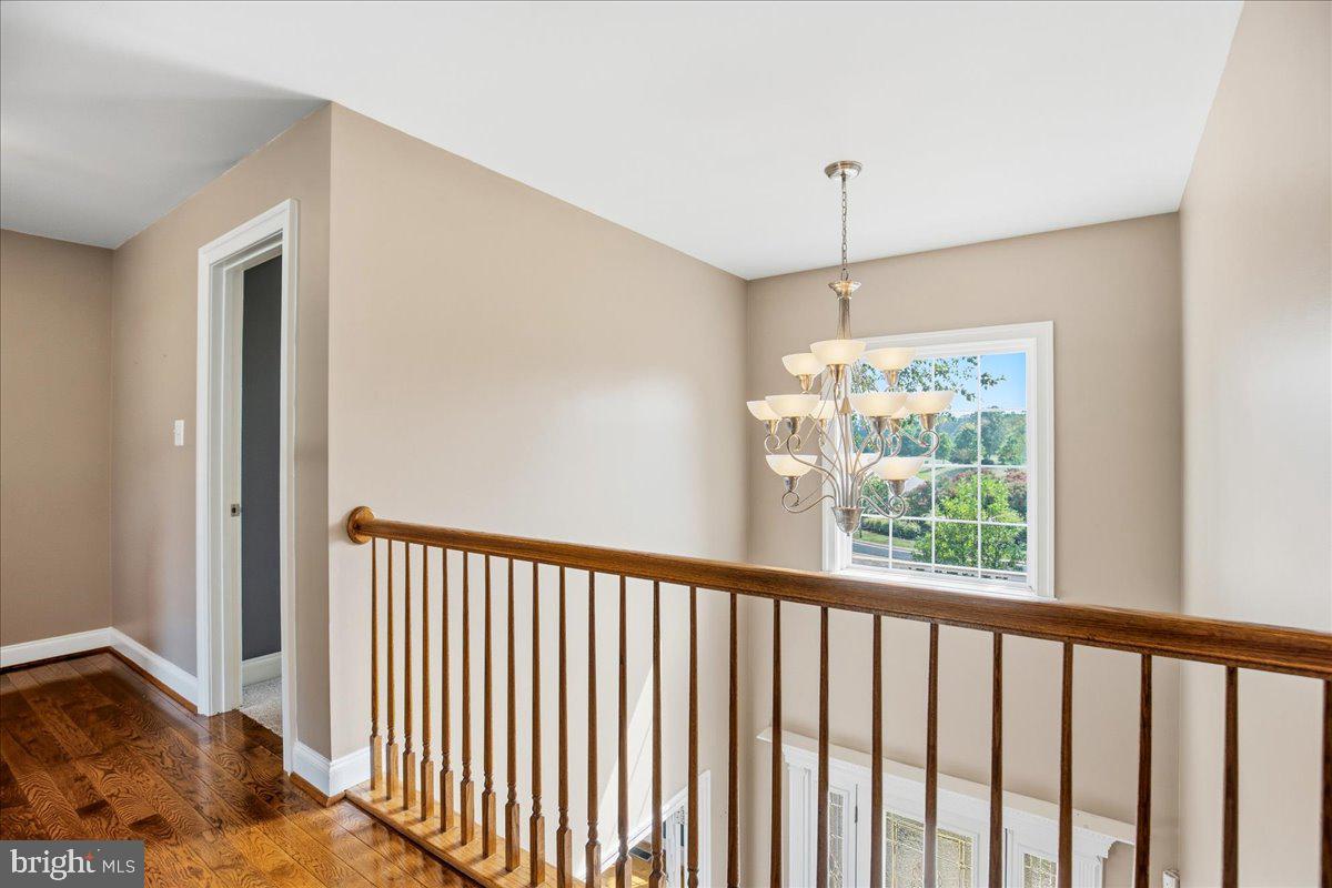 1003 Horse Pen Run Property Photo 26