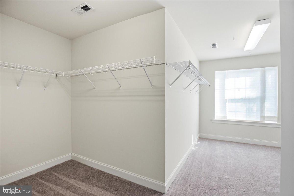 1003 Horse Pen Run Property Photo 33