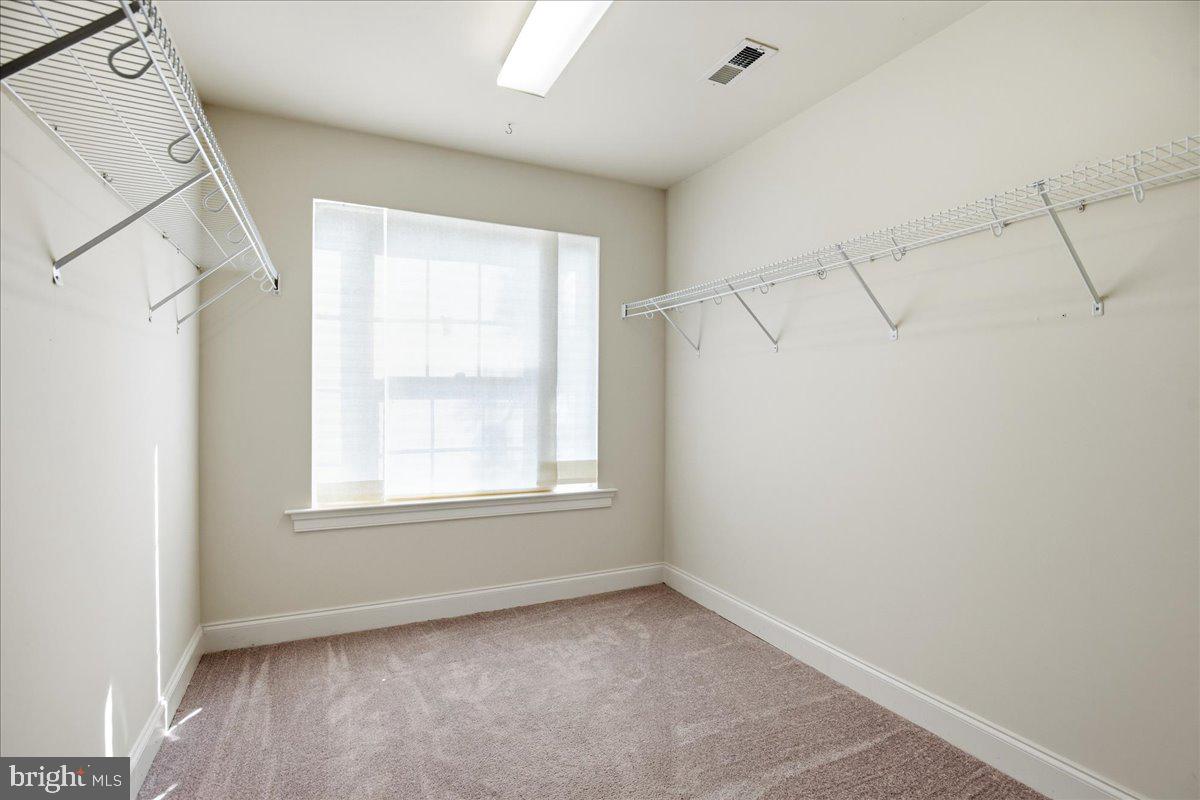 1003 Horse Pen Run Property Photo 34