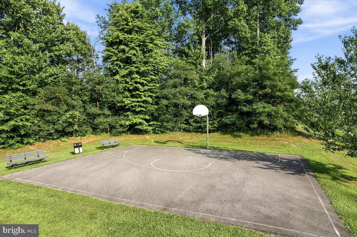 1003 Horse Pen Run Property Photo 68