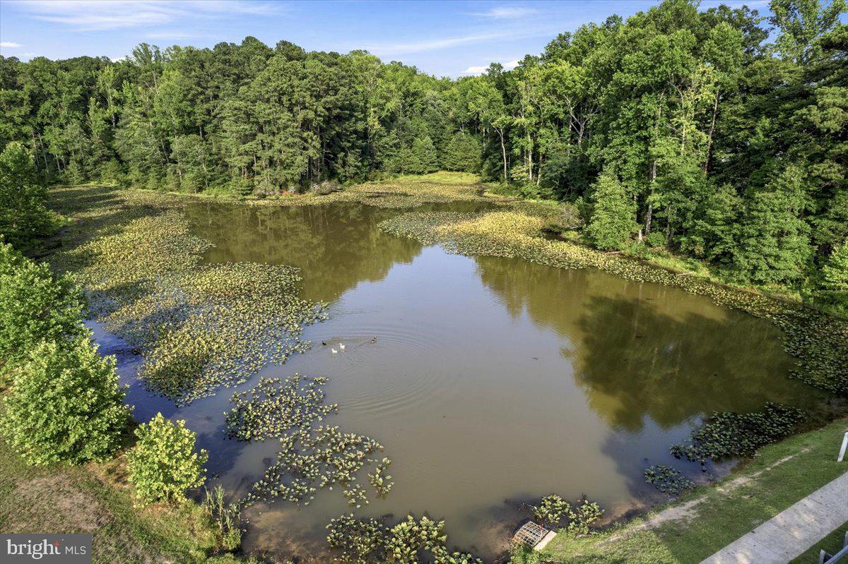 1003 Horse Pen Run Property Photo 69