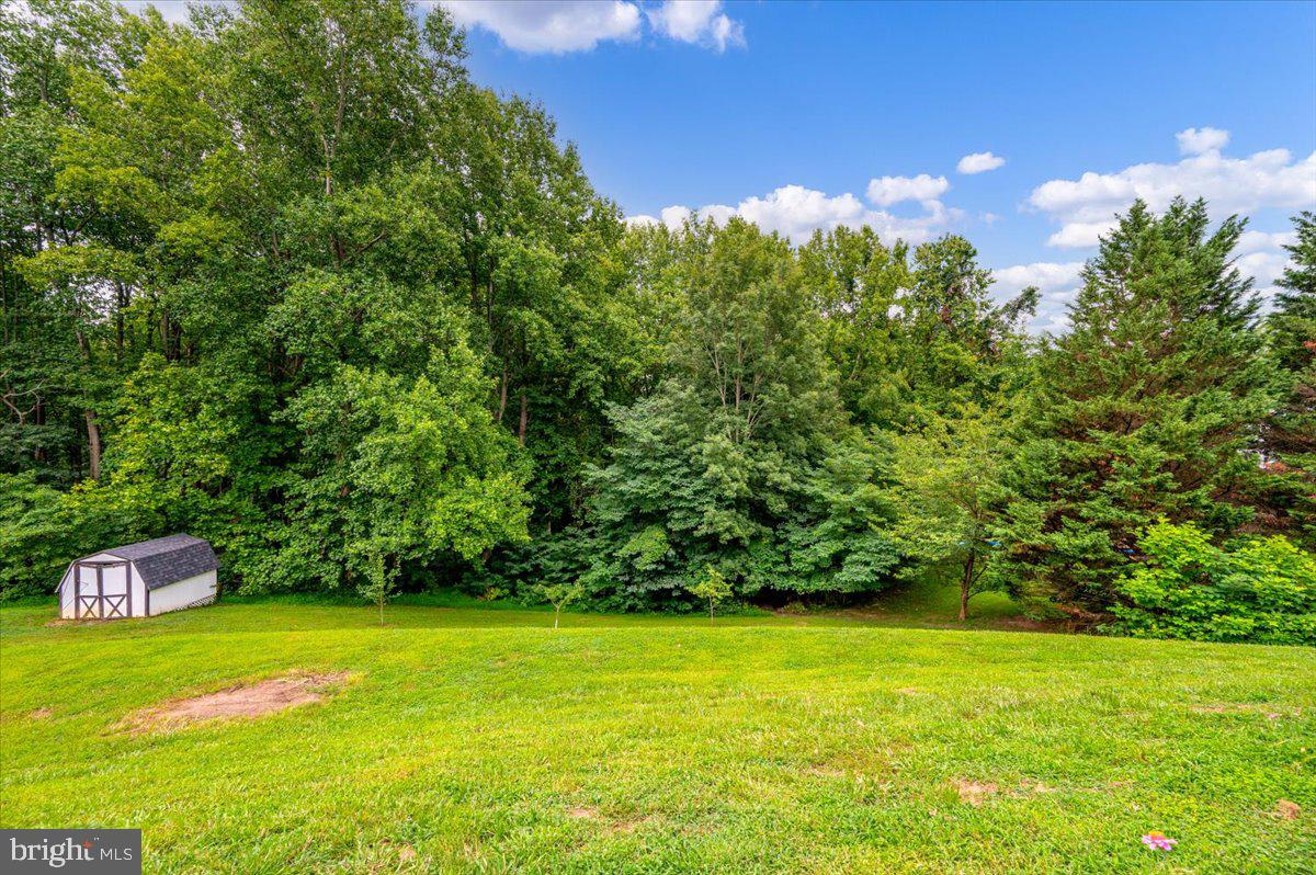 3625 Redhaven Ln Property Photo 41