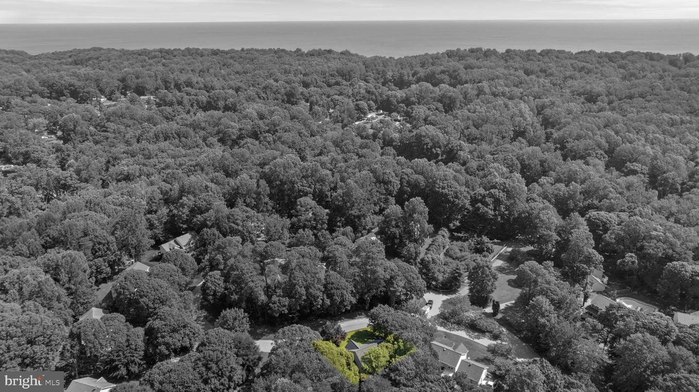 1054 Kings Creek Property Photo 63
