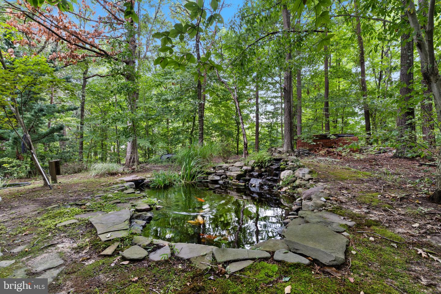 4325 Willows Rd Property Photo 50