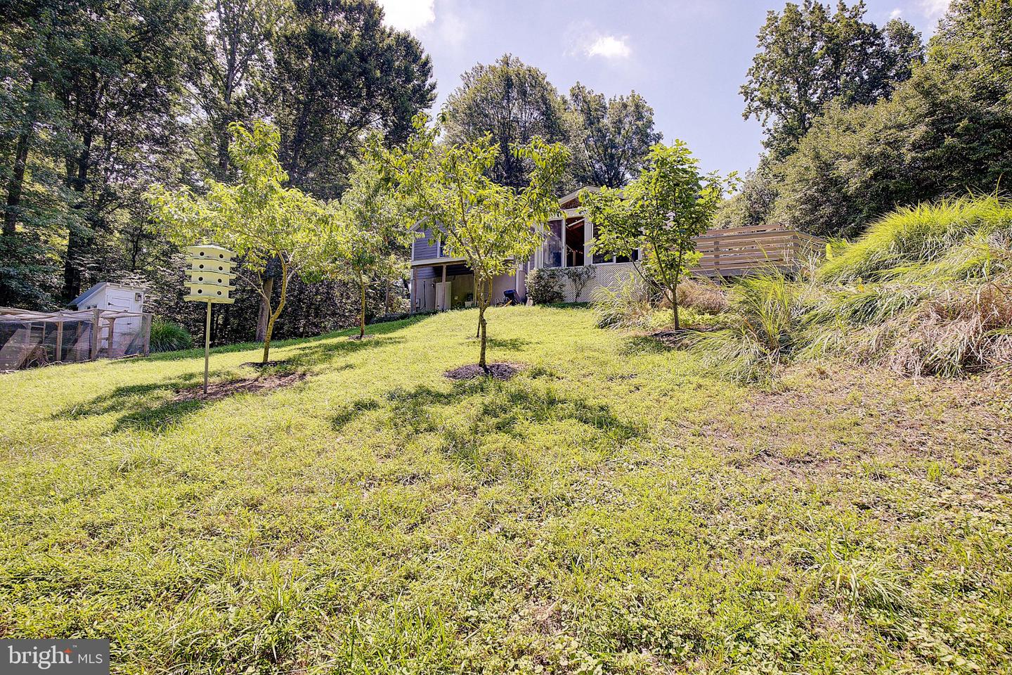 9010 Mary Ann Dr Property Photo 40