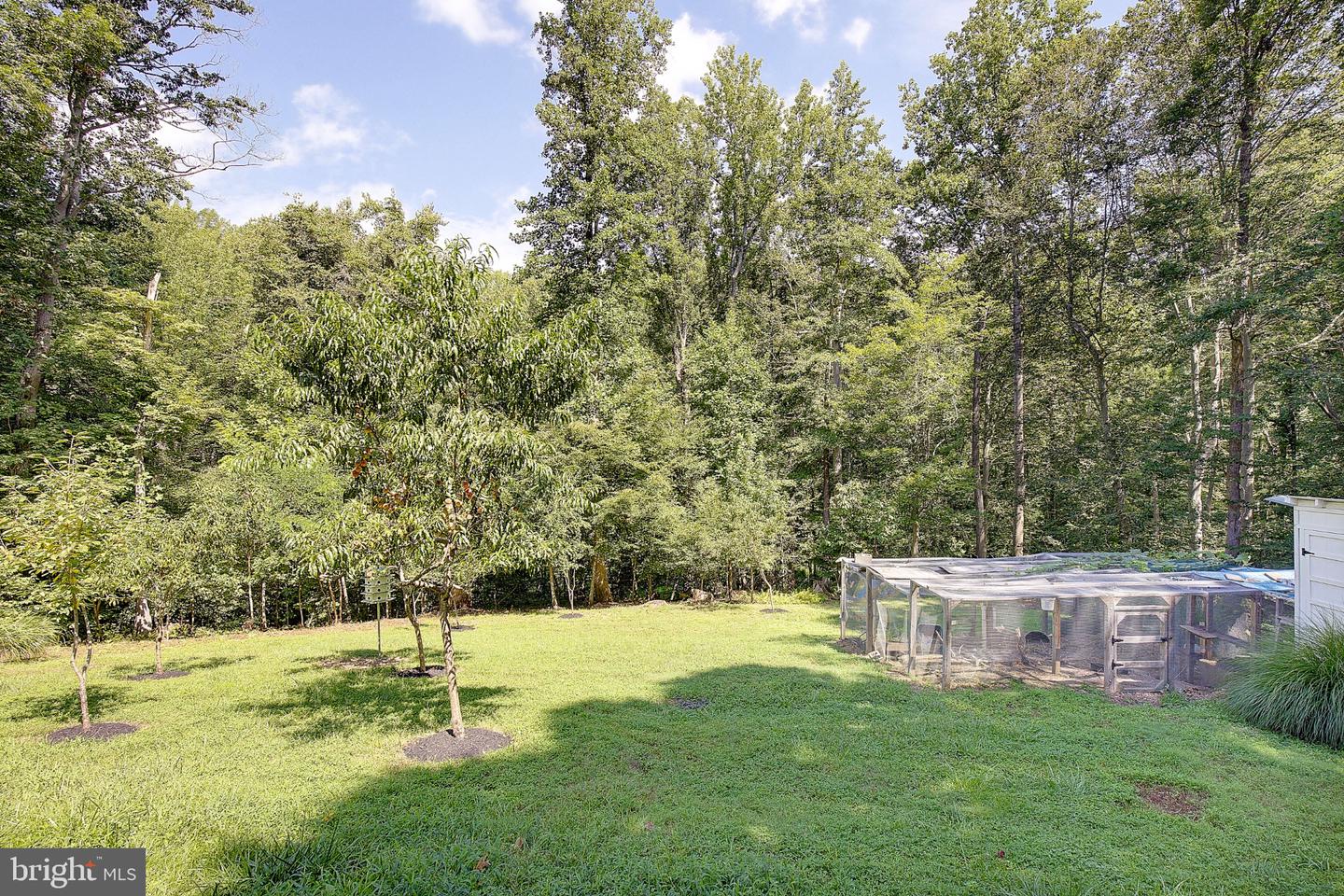 9010 Mary Ann Dr Property Photo 42
