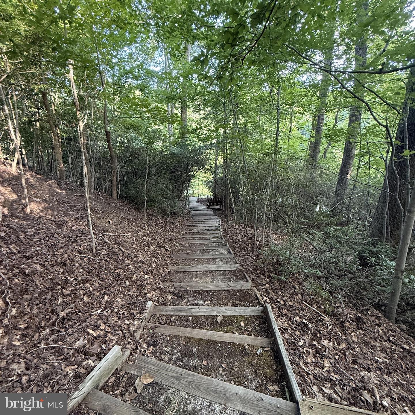 11522 Stirrup Ln Property Photo 3