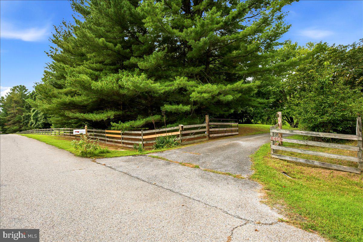 6405 Dant Dr Property Photo 2