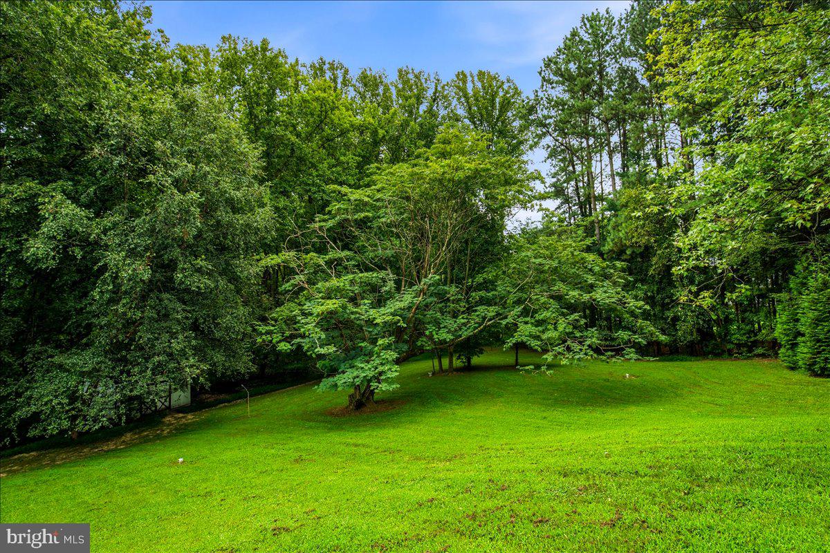 6405 Dant Dr Property Photo 14