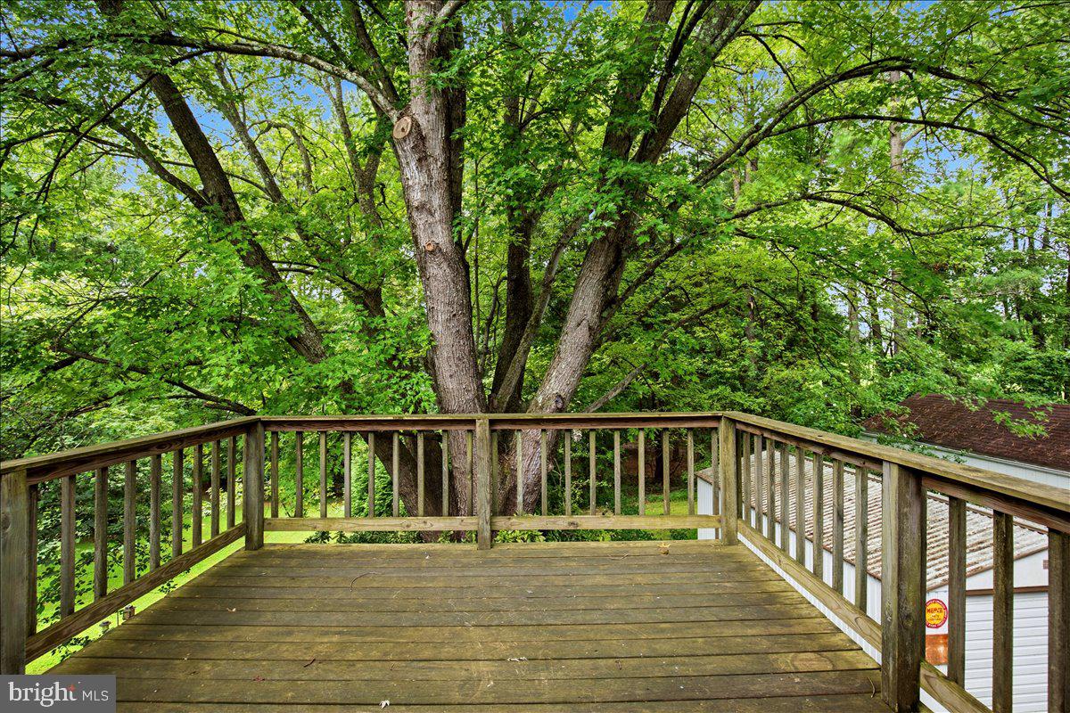 6405 Dant Dr Property Photo 32