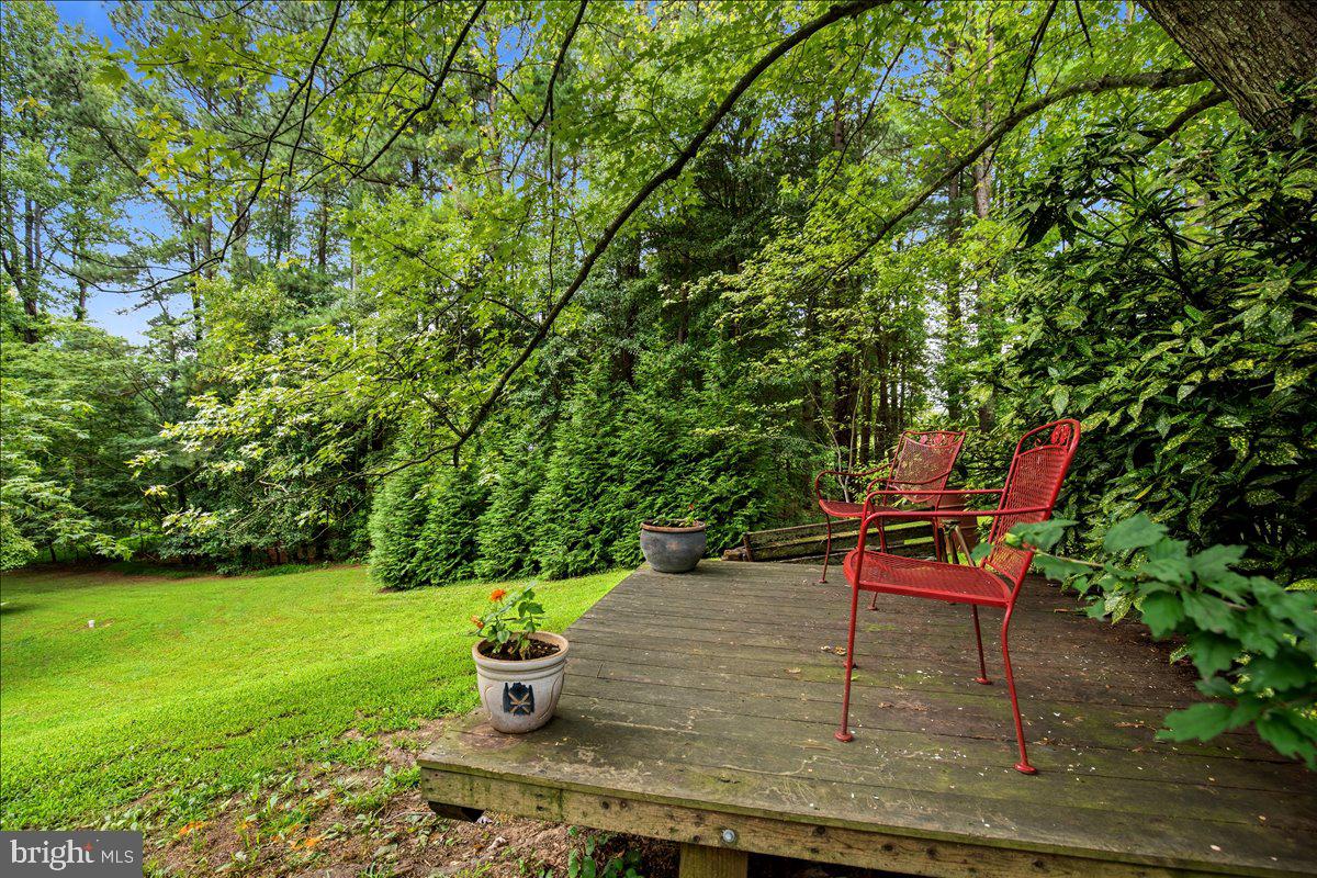 6405 Dant Dr Property Photo 42