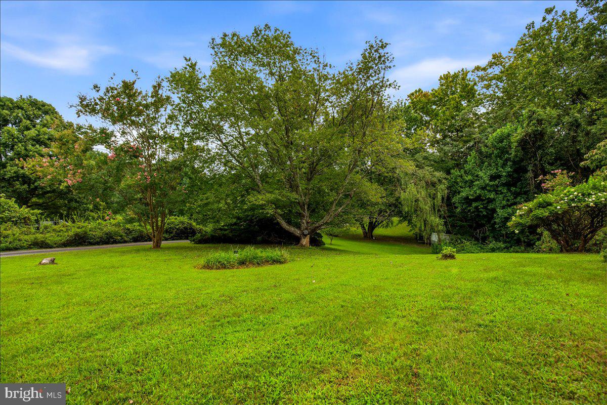 6405 Dant Dr Property Photo 43