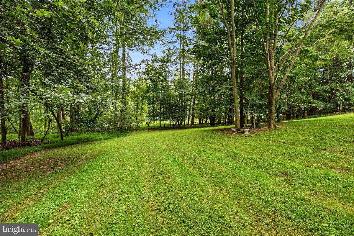 6405 Dant Dr Property Photo 44