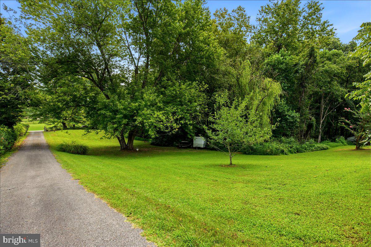 6405 Dant Dr Property Photo 50