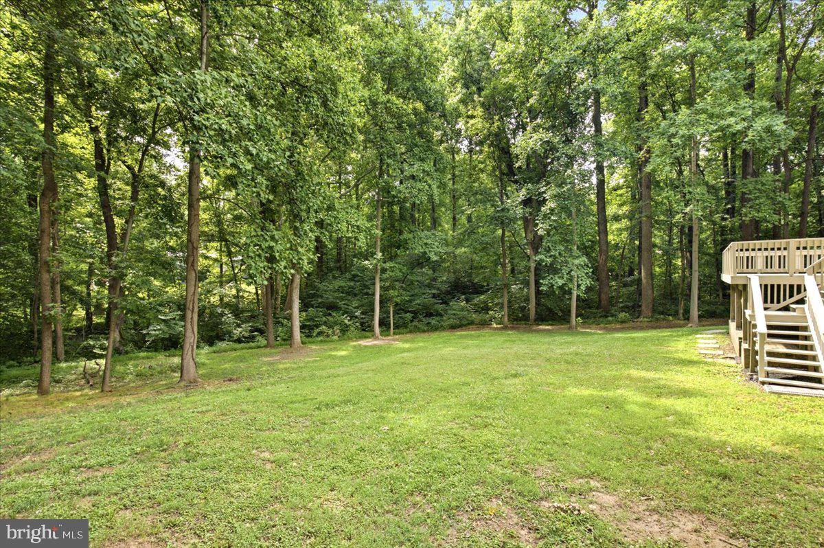8827 Lafayette Dr Property Photo 59
