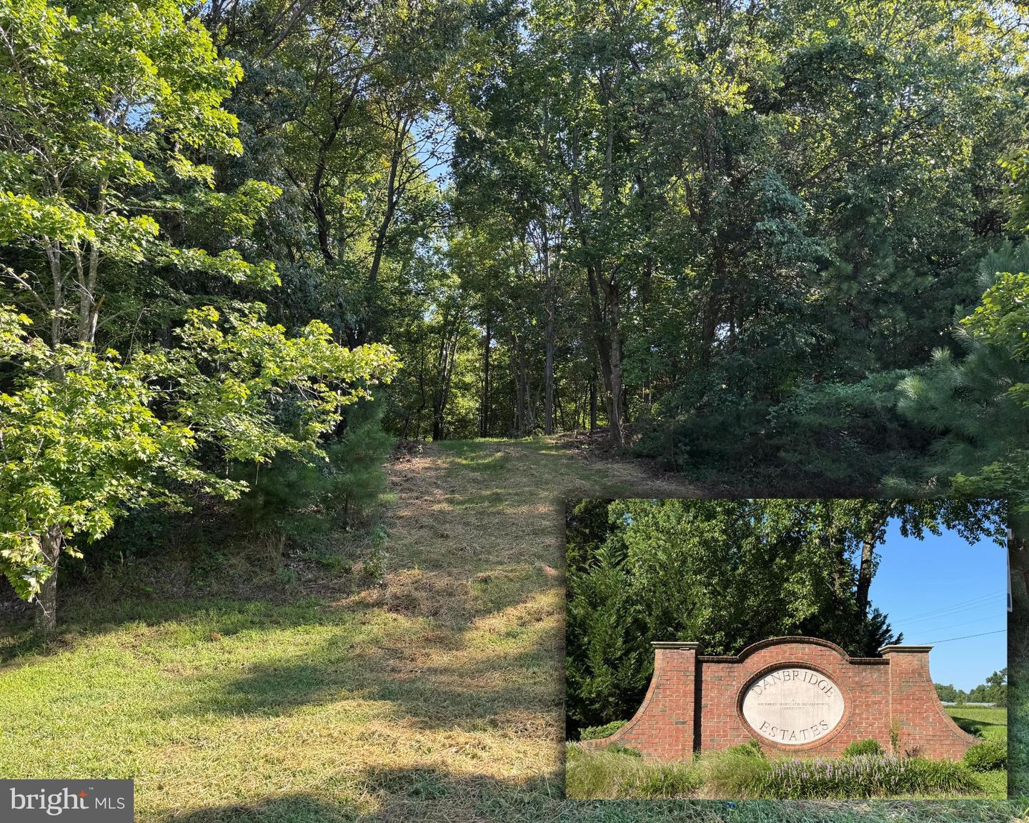 7425 Danbridge Ln Property Photo 1