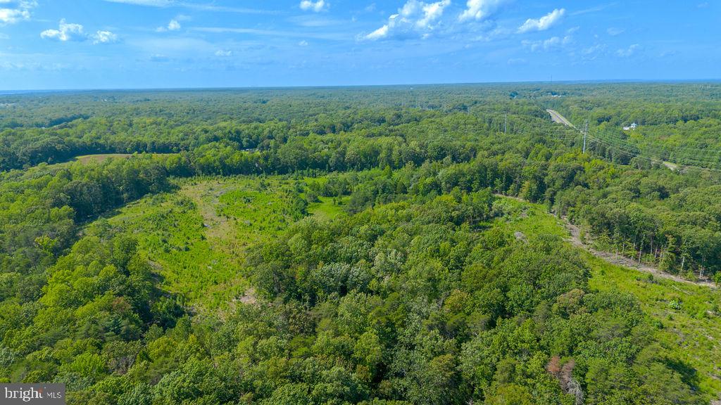 10201 Solomons Island Rd Property Photo 1