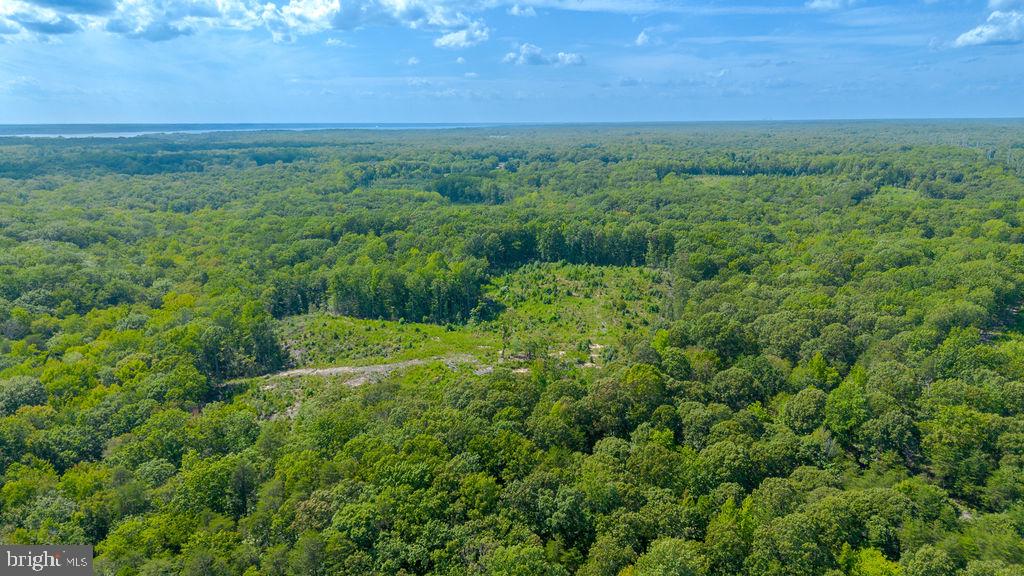10201 Solomons Island Rd Property Photo 3