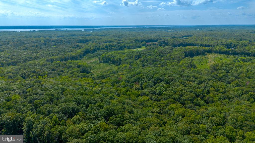 10201 Solomons Island Rd Property Photo 8