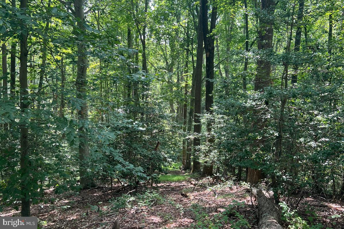 6230 Nicole Dr Property Photo 40