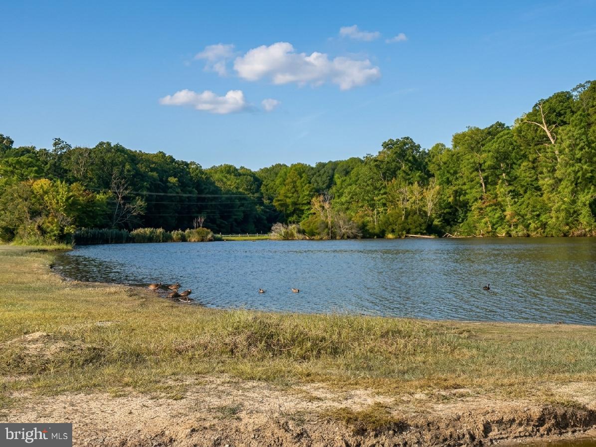 12424 Algonquin Trl Property Photo 7