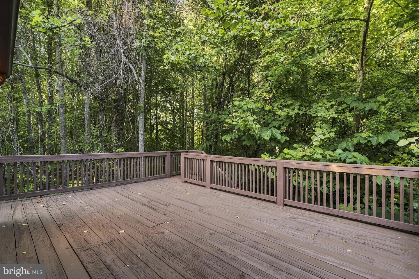 4310 Dares Beach Rd Property Photo 22