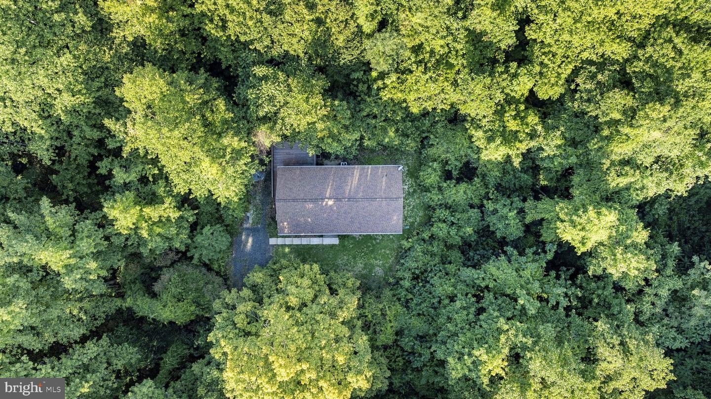 4310 Dares Beach Rd Property Photo 47