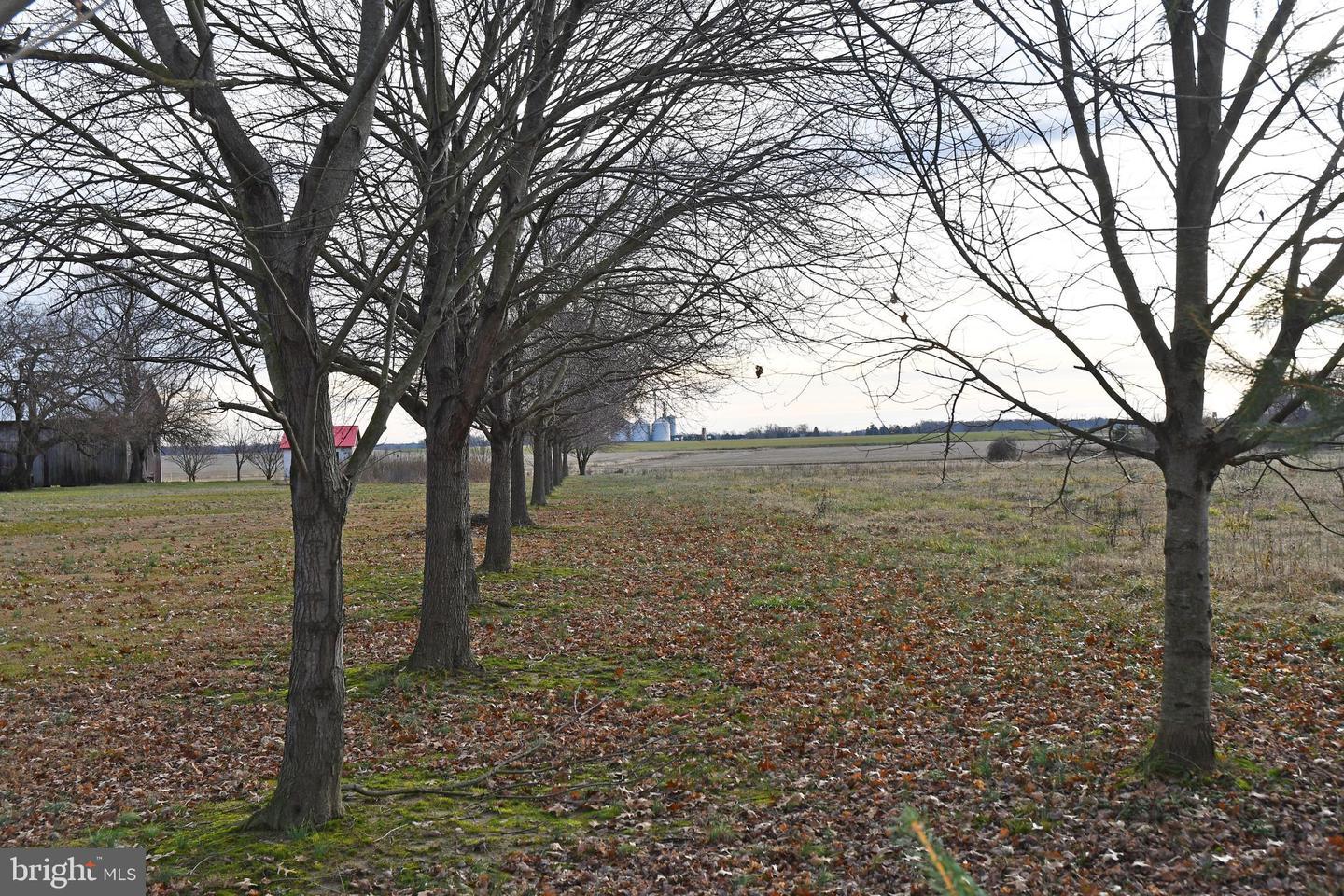 N Bohemia Ave Property Photo 2