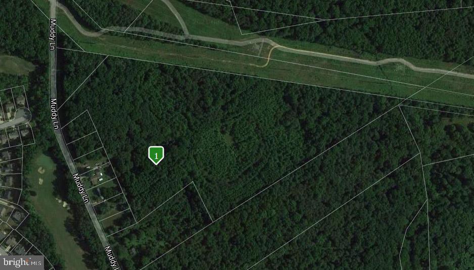 180 Muddy Ln Property Photo 1