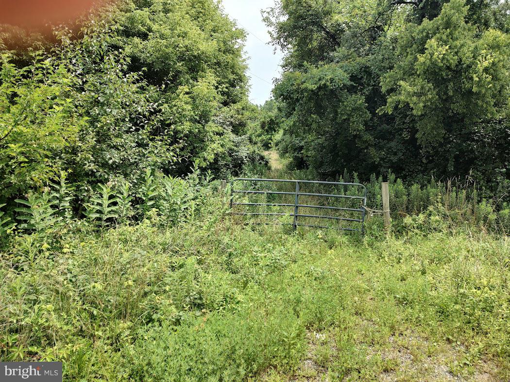 E Pulaski Hwy Property Photo 2