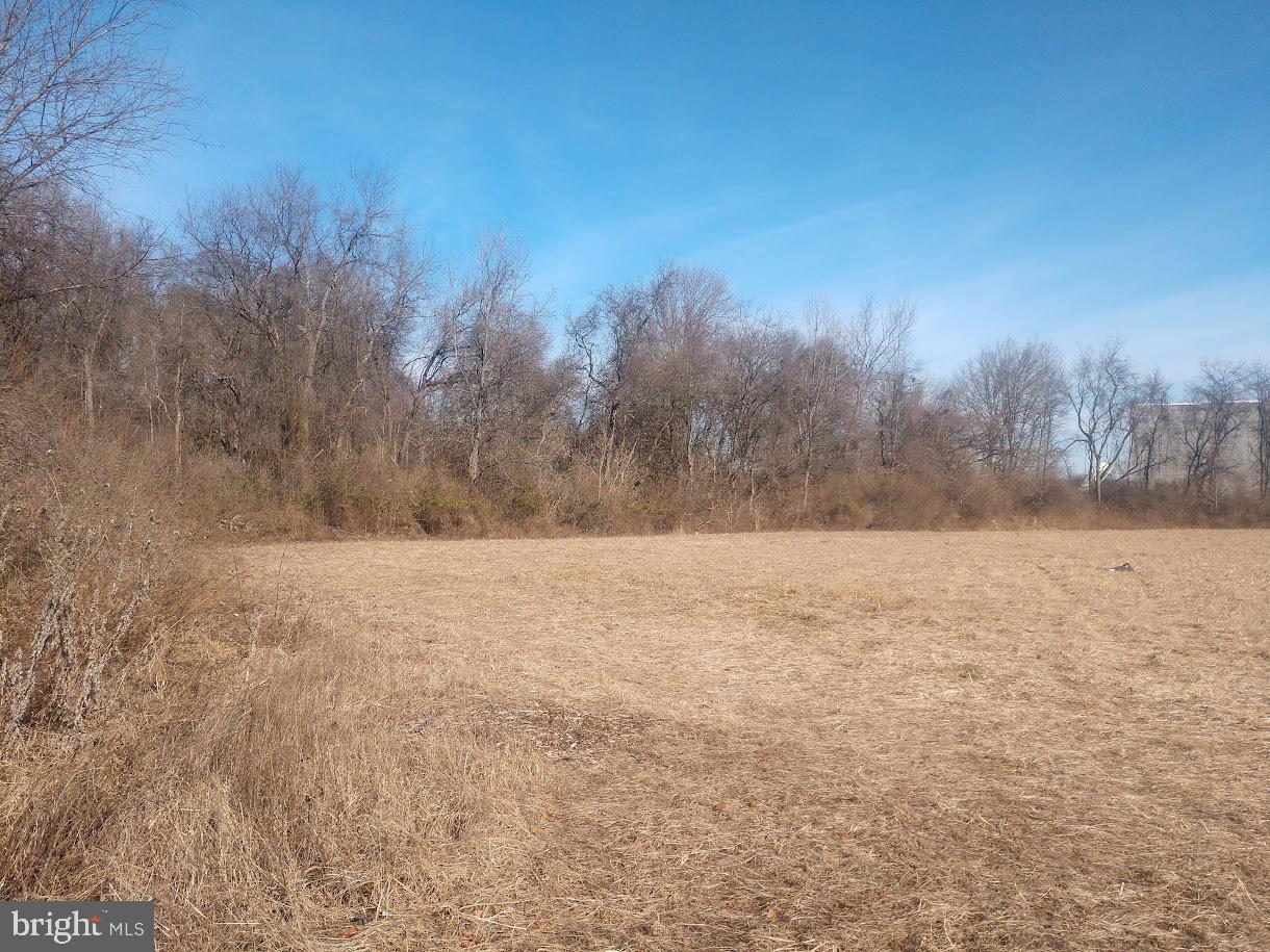 Pulaski Hwy/ Maloney Road Property Photo 19