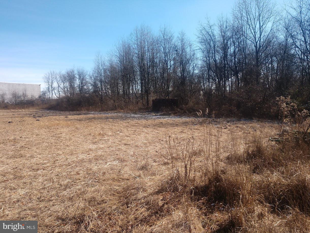 Pulaski Hwy/ Maloney Road Property Photo 20