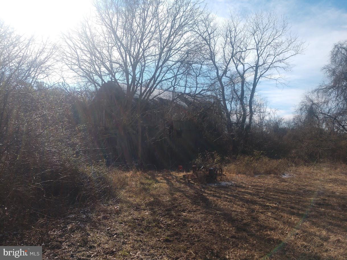 Pulaski Hwy/ Maloney Road Property Photo 23