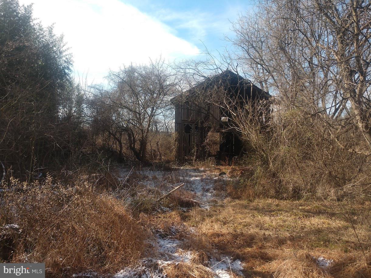 Pulaski Hwy/ Maloney Road Property Photo 27