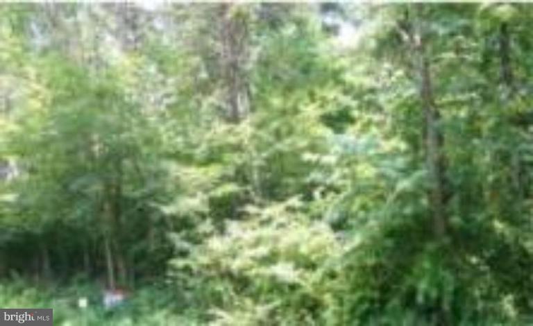 135 Codjus Dr Property Photo