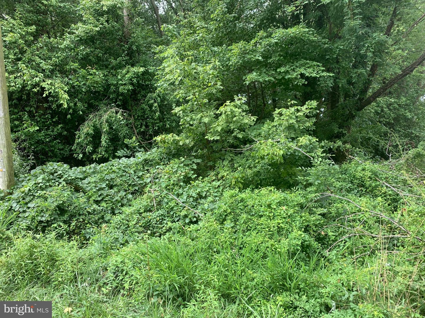 Lot 38 Cherry Ln Property Photo 2