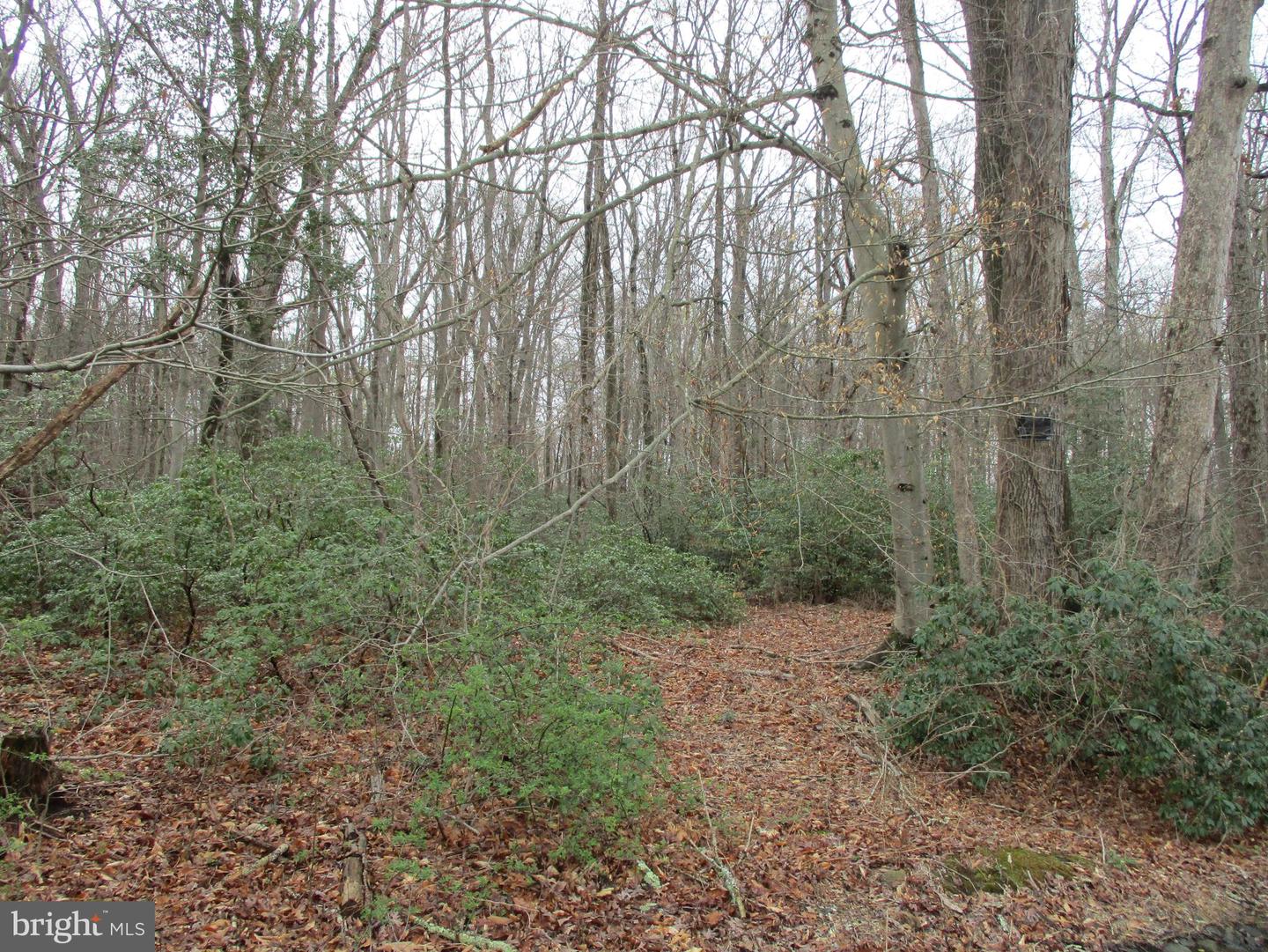 Lot#2 Property Photo 5