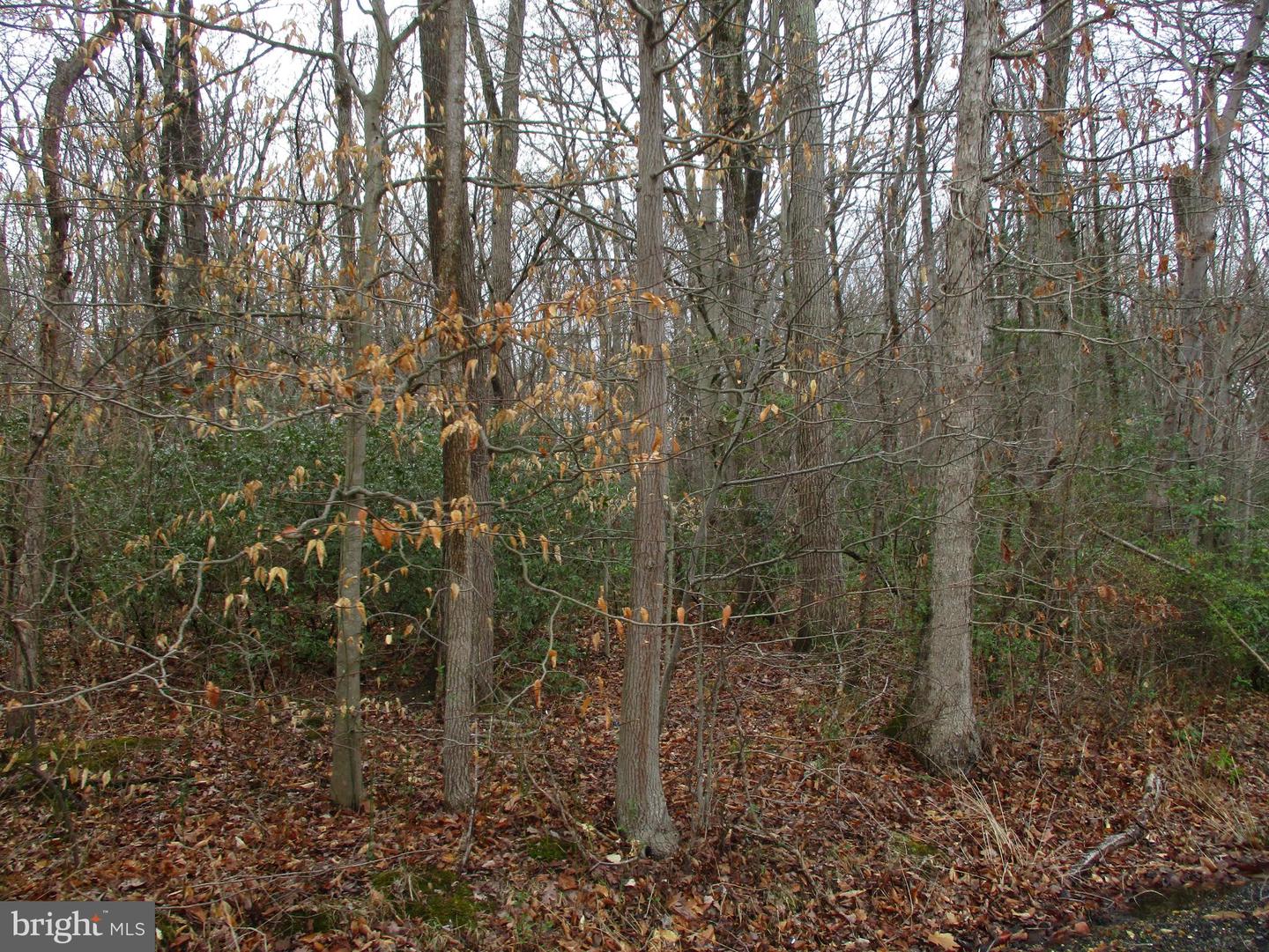 Lot#2 Property Photo 6