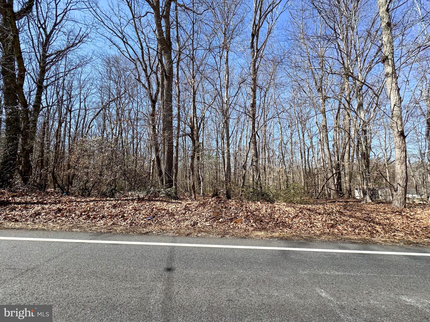 Lot#2 Property Photo 8