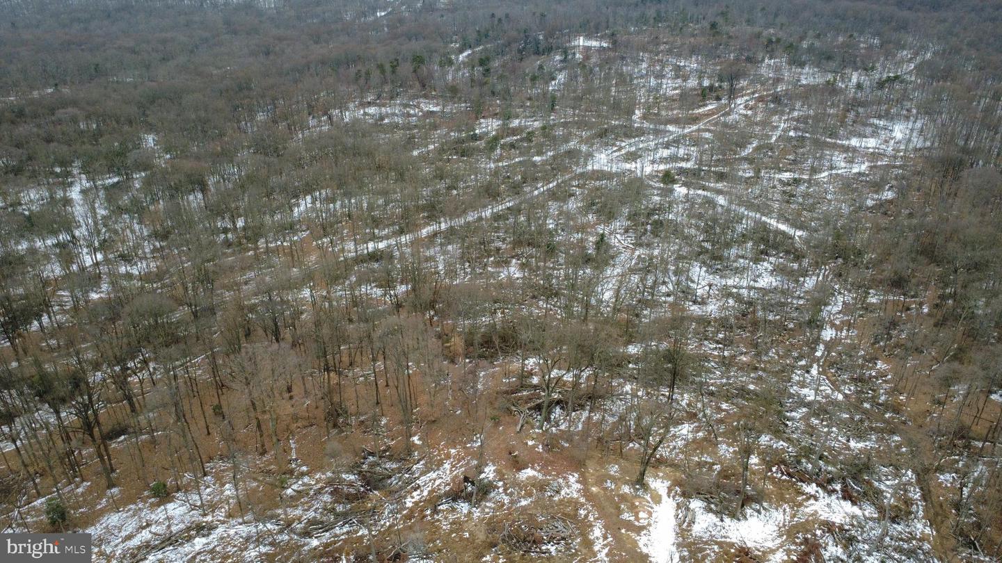 0 Turkey Point Rd Property Photo 11