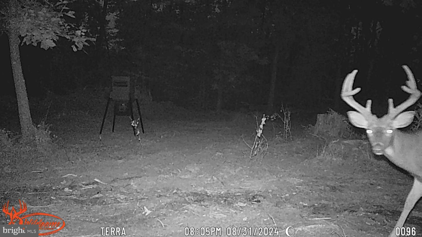 0 Turkey Point Rd Property Photo 15