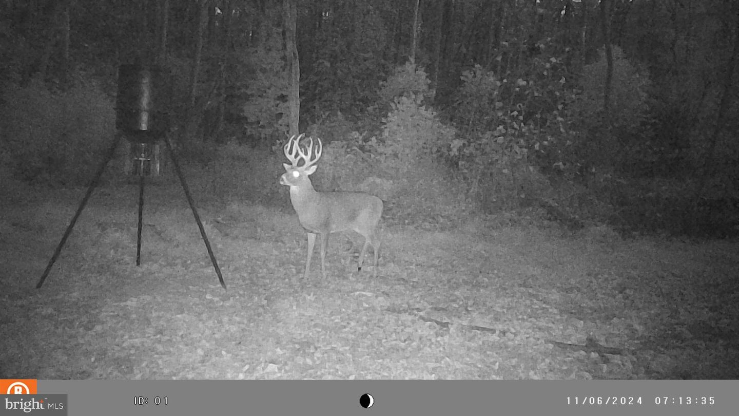 0 Turkey Point Rd Property Photo 16