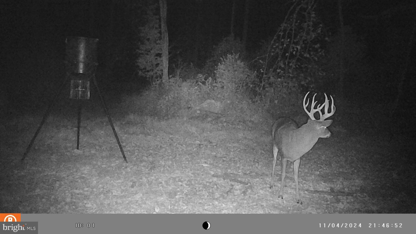 0 Turkey Point Rd Property Photo 17