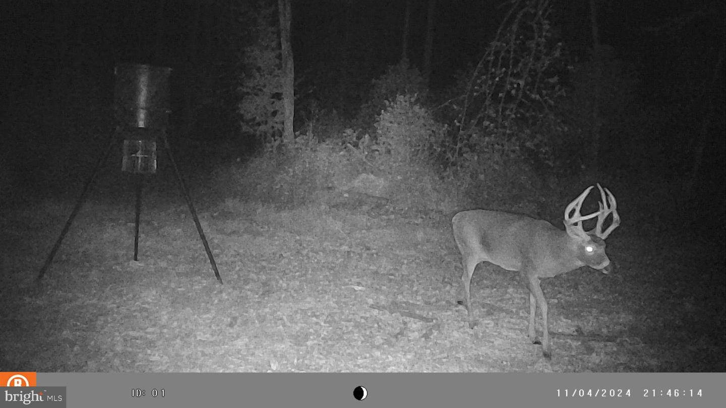 0 Turkey Point Rd Property Photo 18